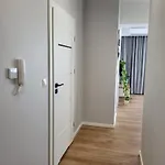 Scandilook Затор