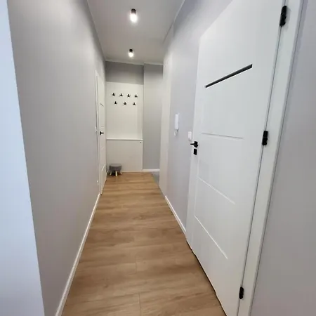 Daire Scandilook Zator