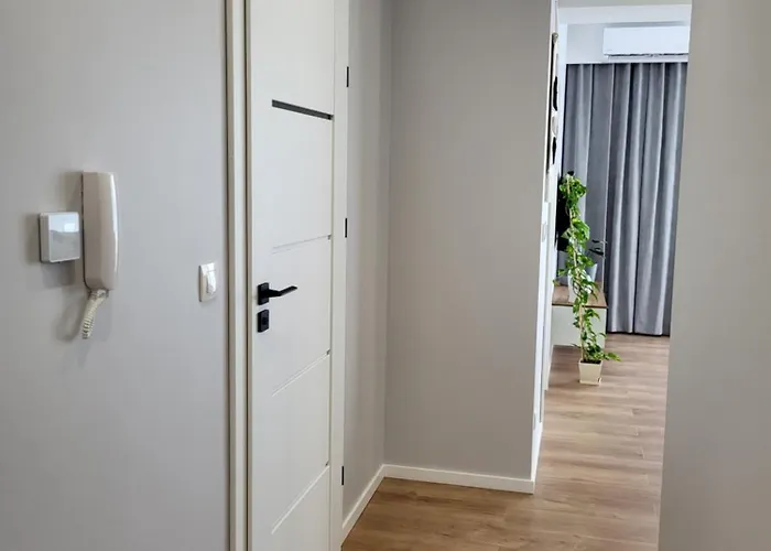 Scandilook زاتور